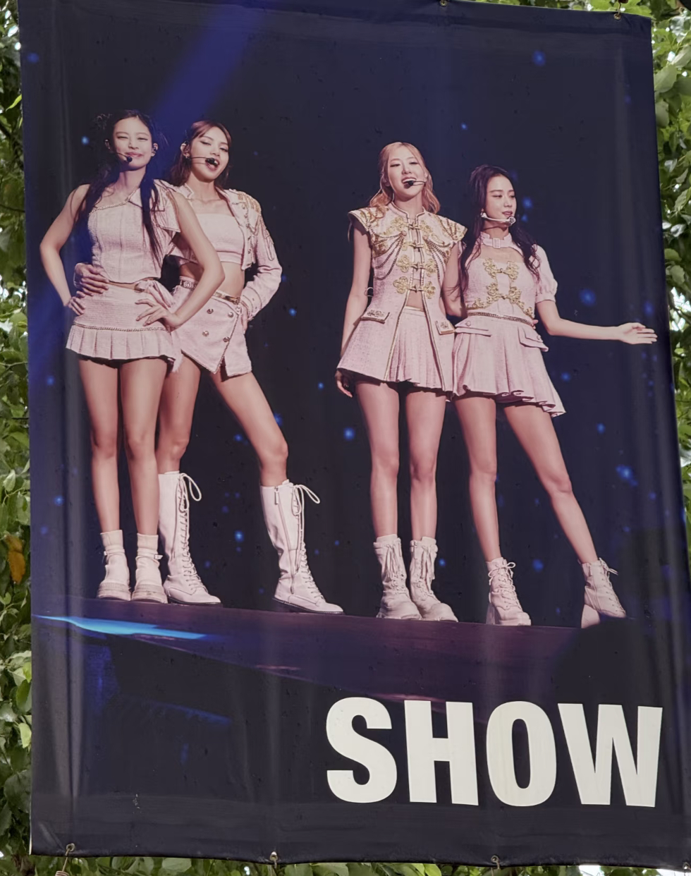 blackpink王嘉尔的厨师都出道了blackpink王嘉尔的厨师上厨综了我记