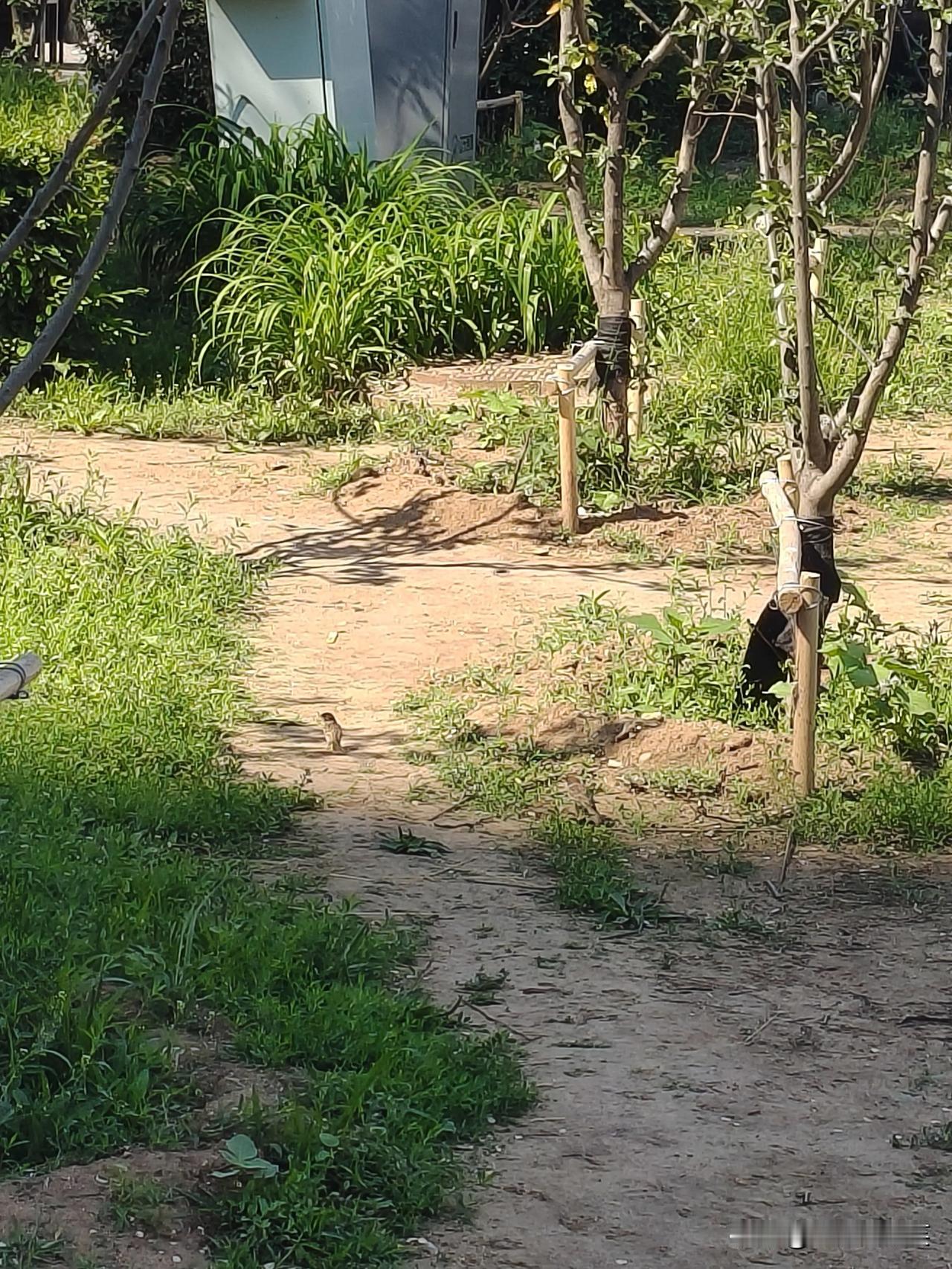 每一次