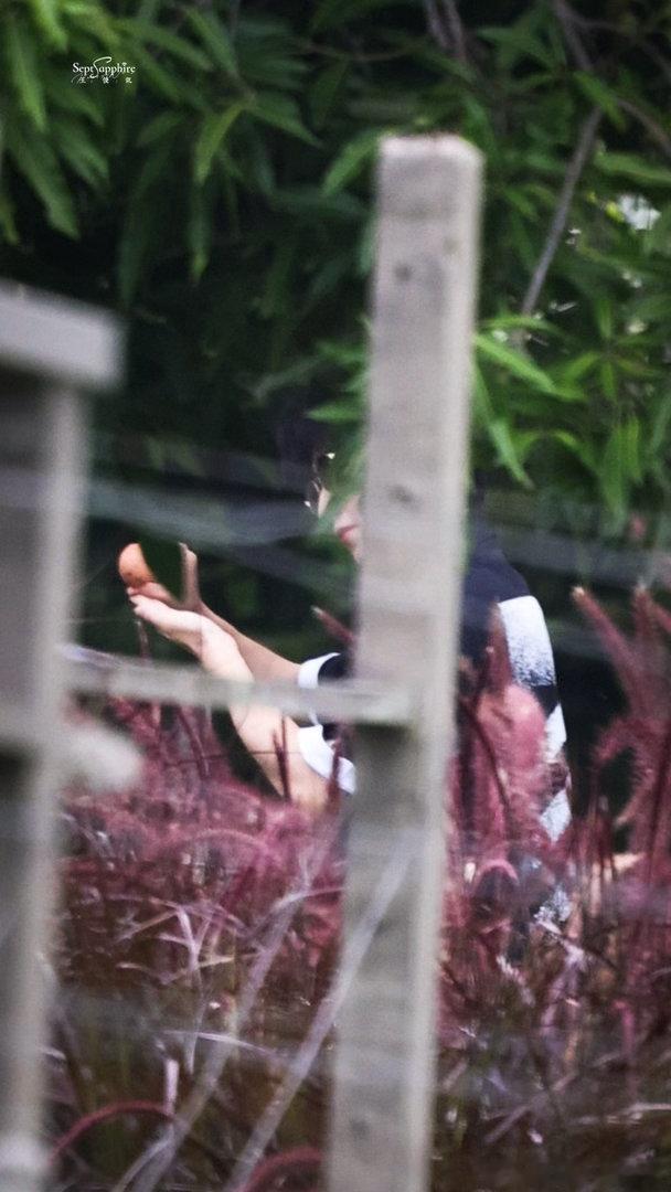 焕蓝梦想基金  我们常会为错过一些东西而感到惋惜，但其实，人生的玄妙，常常超出你