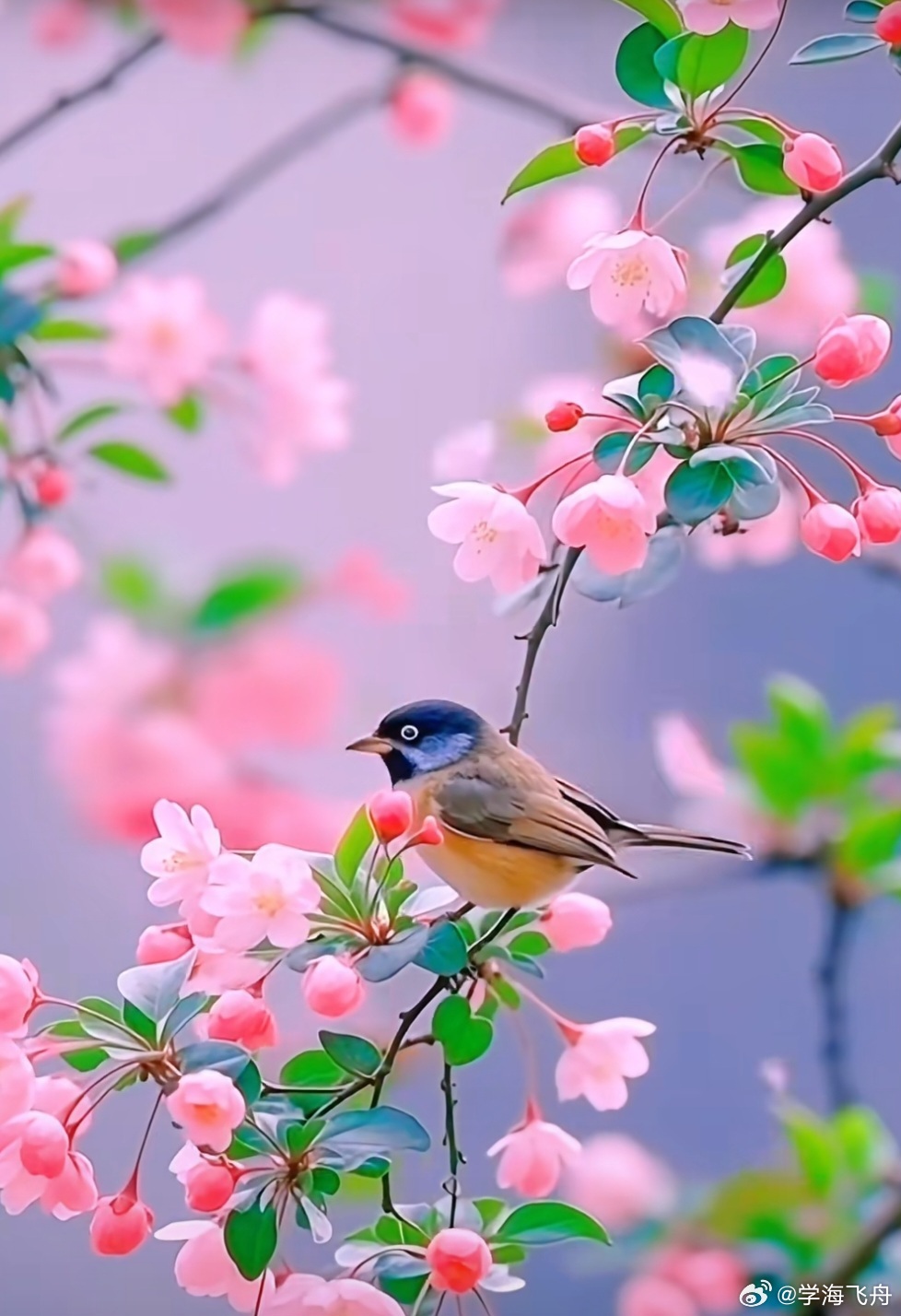 今天A 股走出了震荡整理的行情：东方财富App 显示的 10 项指数有5 项上涨