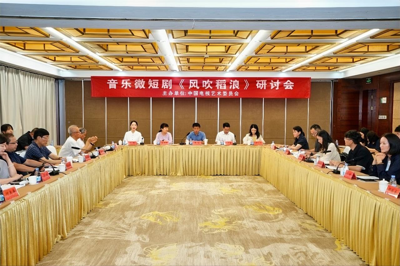 7月30日，中国电视艺术委员会在京举办音乐微短剧《风吹稻浪》研讨会。江苏省广播电