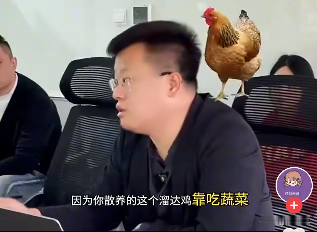这人是不是养鸡的不知道，但我觉得他是鸡在高温中下的蛋孵出来的。他说什么农民自己家