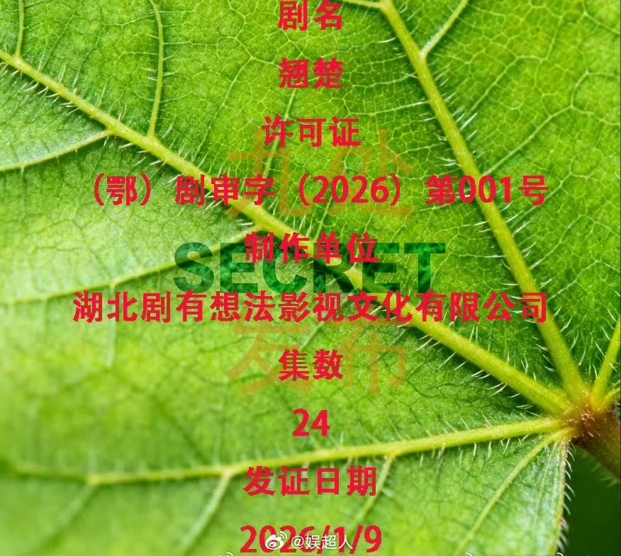 陈都灵翘楚下证啊啊啊啊燥候这个《翘楚》🤲🤲 