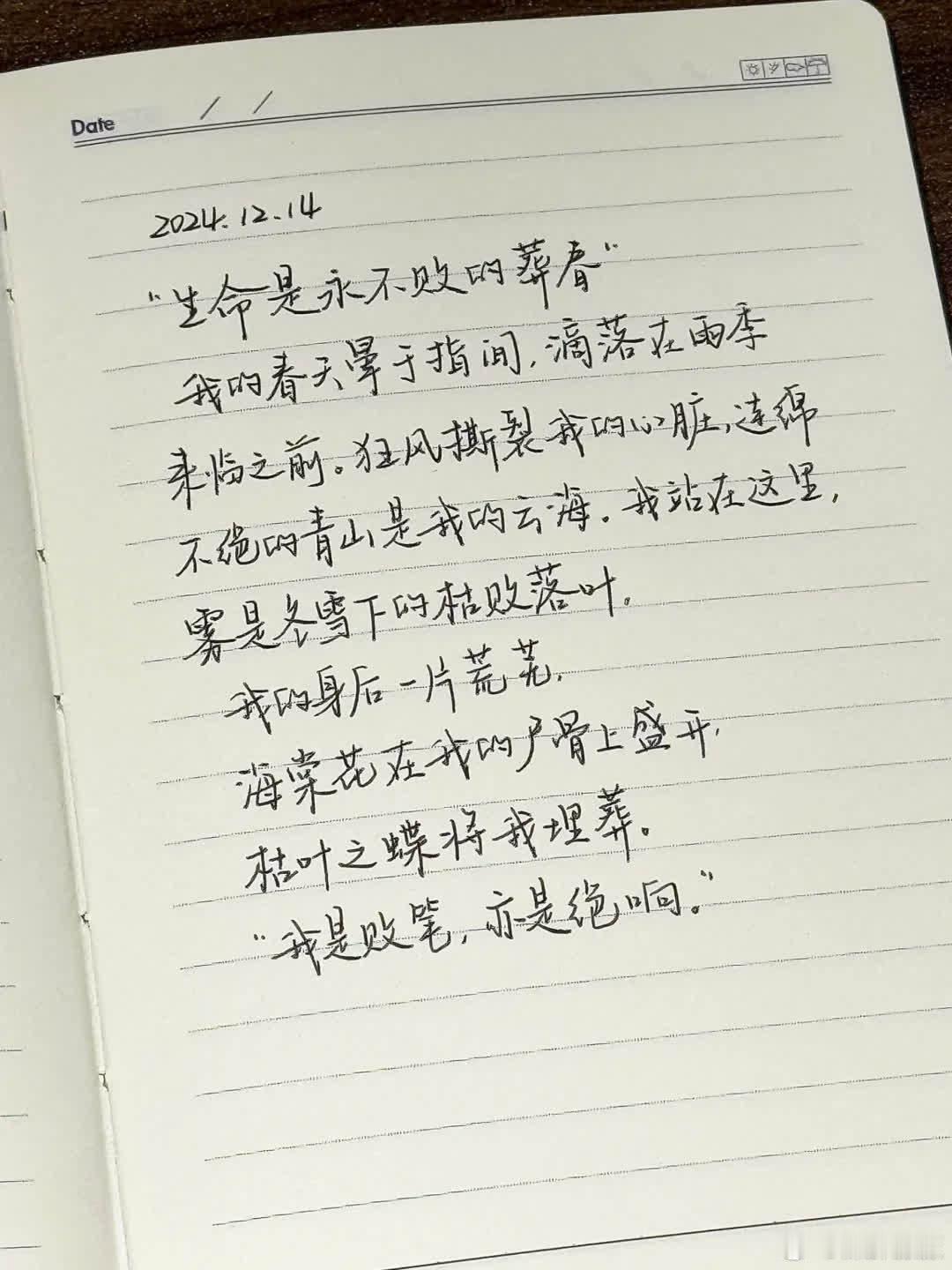 “我是败笔，亦是绝响”  “生命是永不败的葬春。  我的春天晕于指间，滴落在雨季