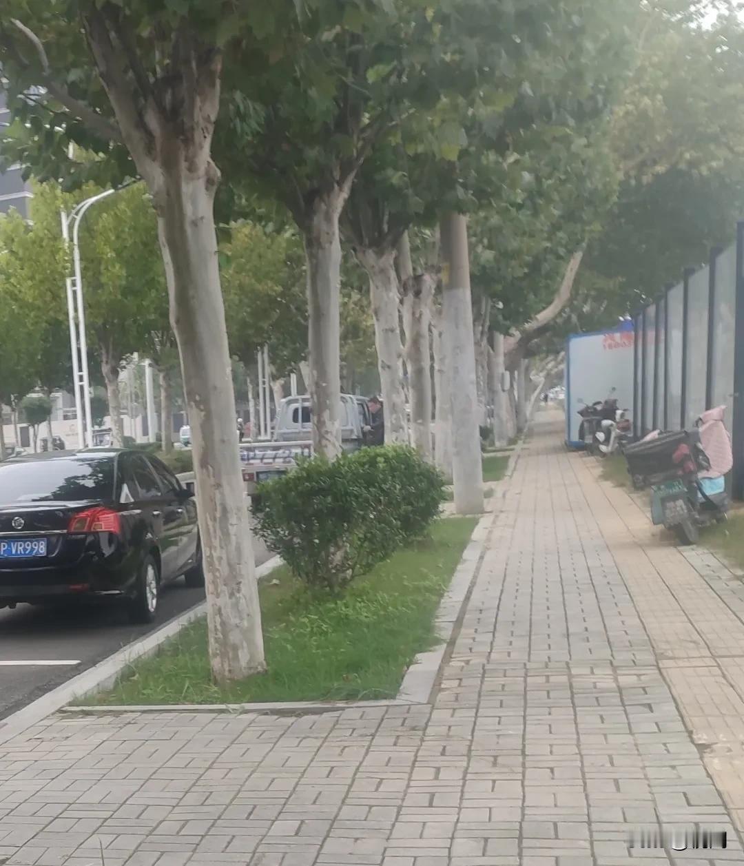 周口市川汇区华山路与庆丰路交叉口西200米附近，一处施工板房占道半个多月，不仅挤