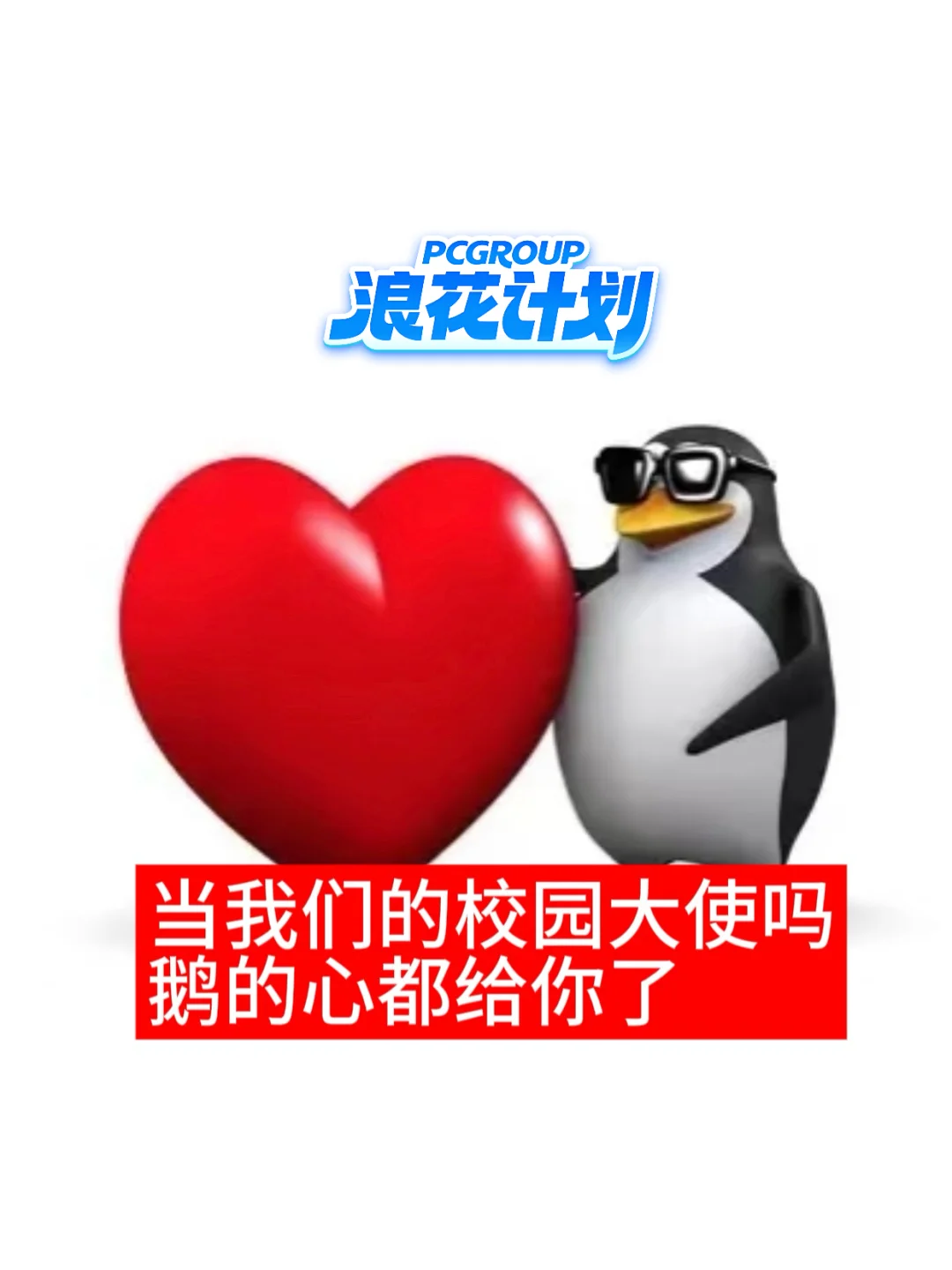 太平洋网络校园大使招募！鹅等你来！