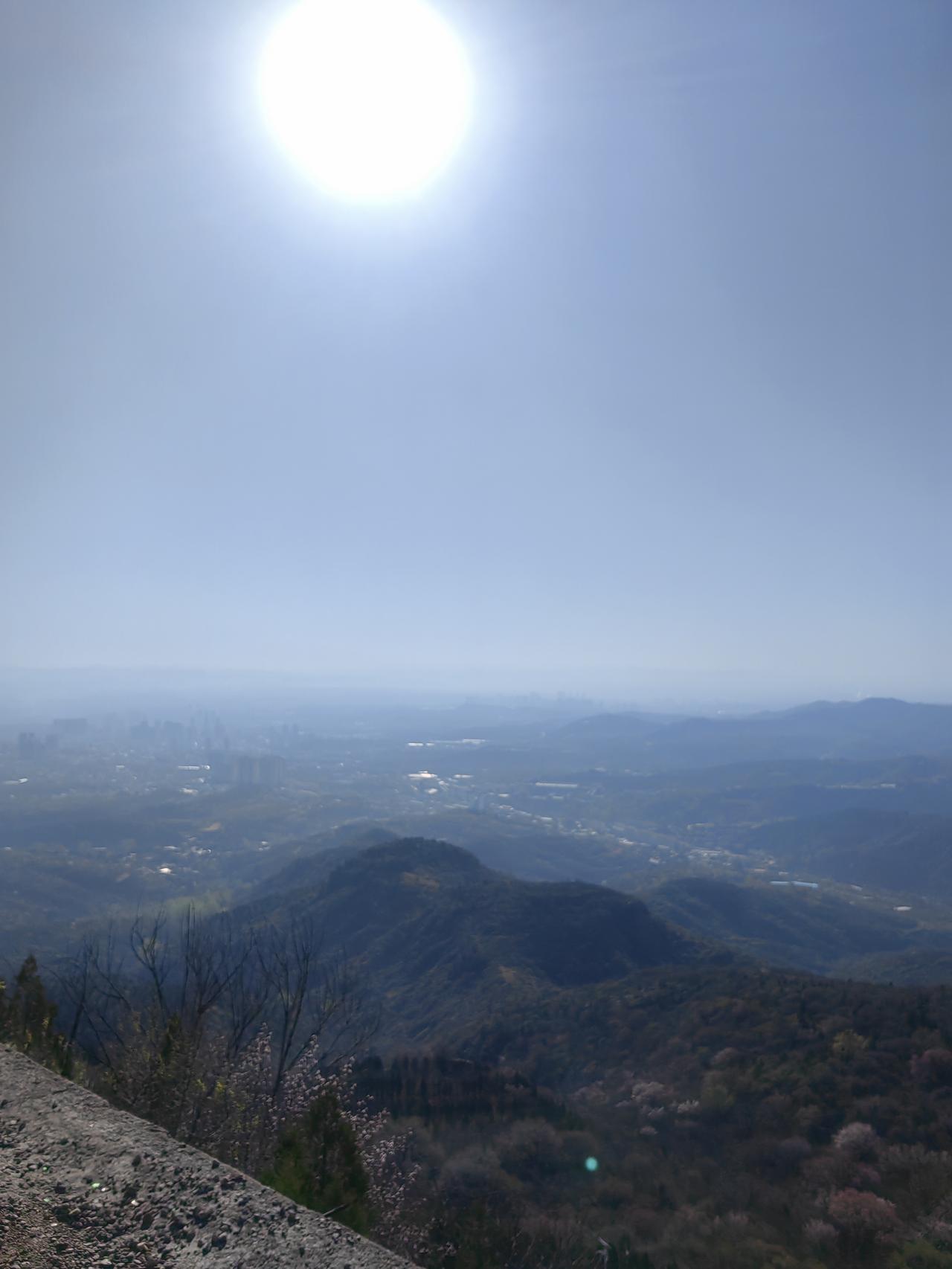 已经疯了，满脑子都是钞票，一股脑都是利益，一大把都是鲜血，难道，为了你所说的自由