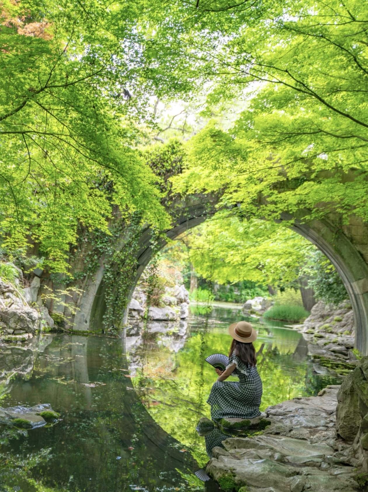 晒图大赛春水绕桥，满目新绿映春光。