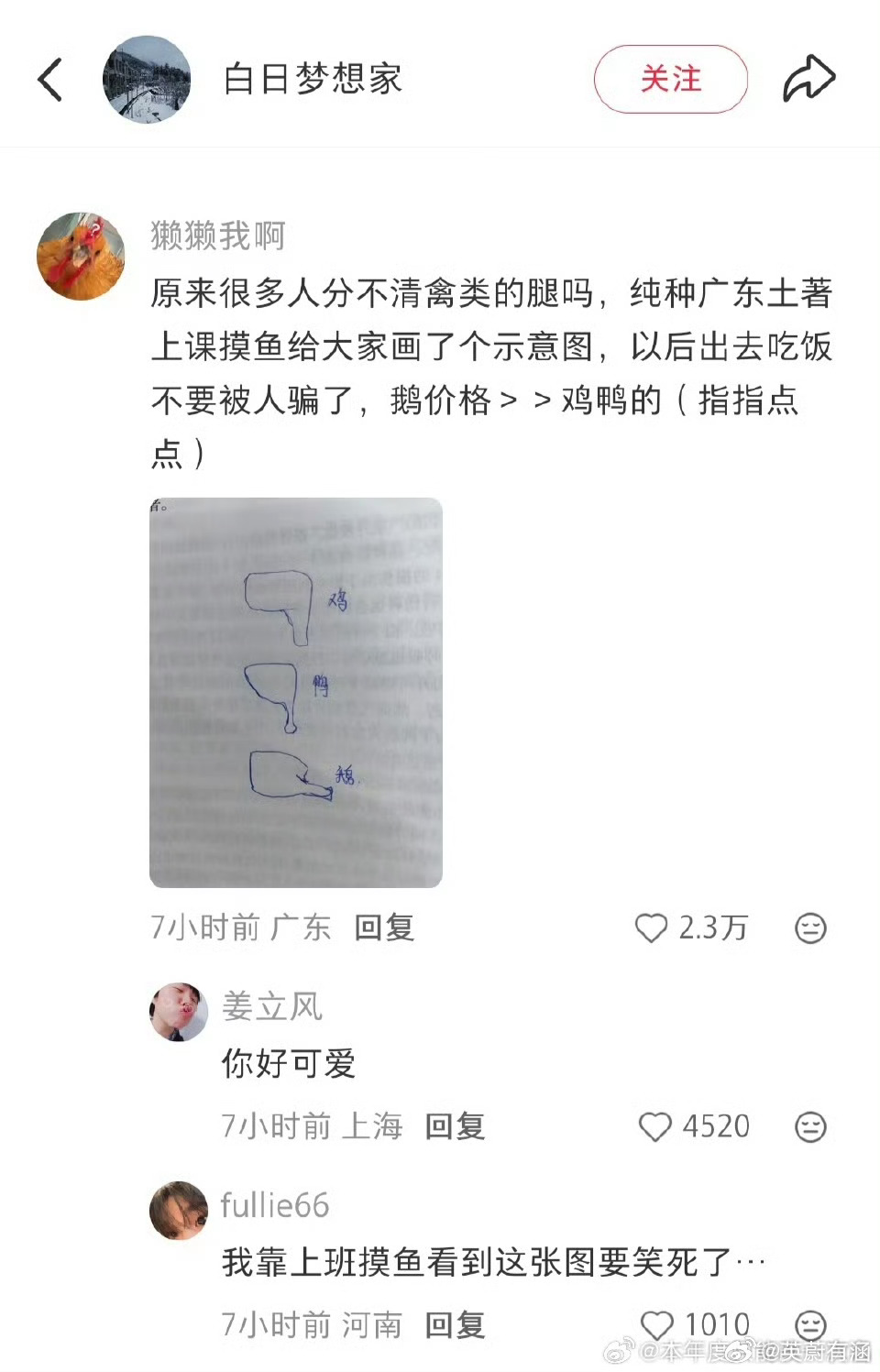 广东网友画图区分鹅鸭鸡腿没有晦涩术语，普通人一眼就能看懂！✨ 鸡腿：小巧圆润，新