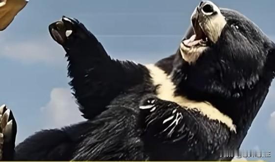 完犊子了吗?
大盘走出三只乌鸦？
港股三大指数走出三只乌鸦，而且今天是放量下跌。