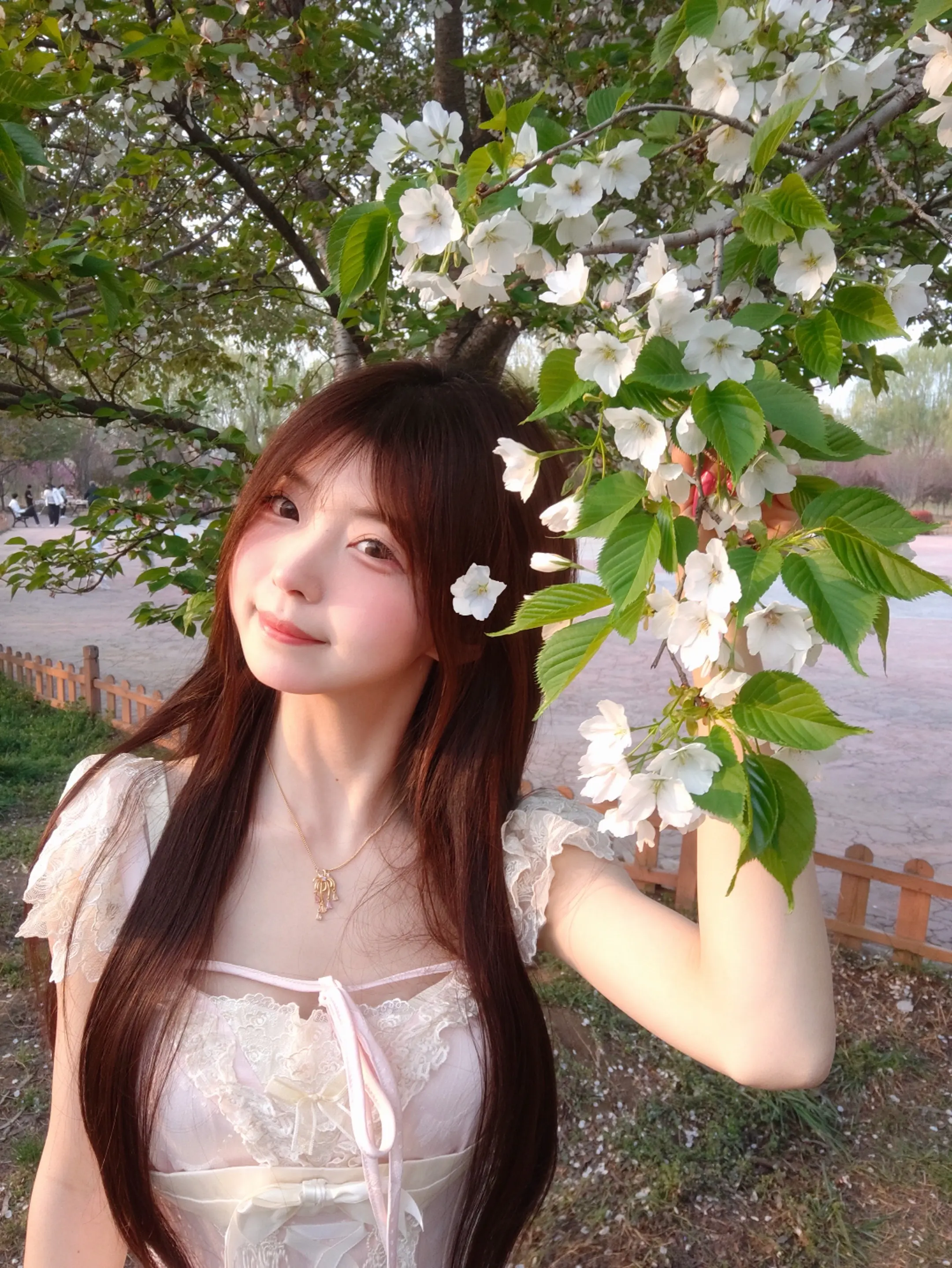 杜松混合茉莉的风🍃