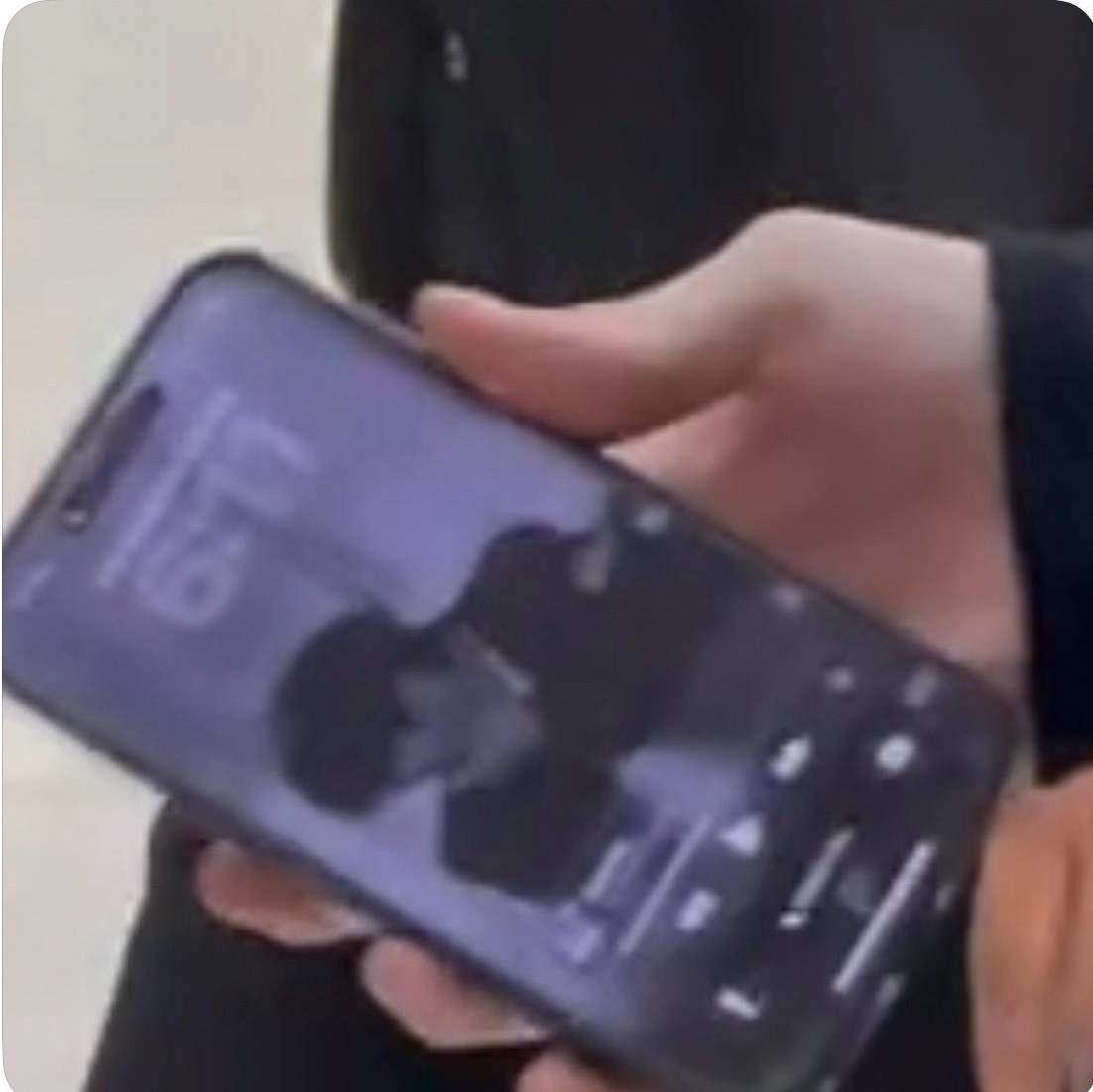 严肃换上龟龟同款壁纸了 