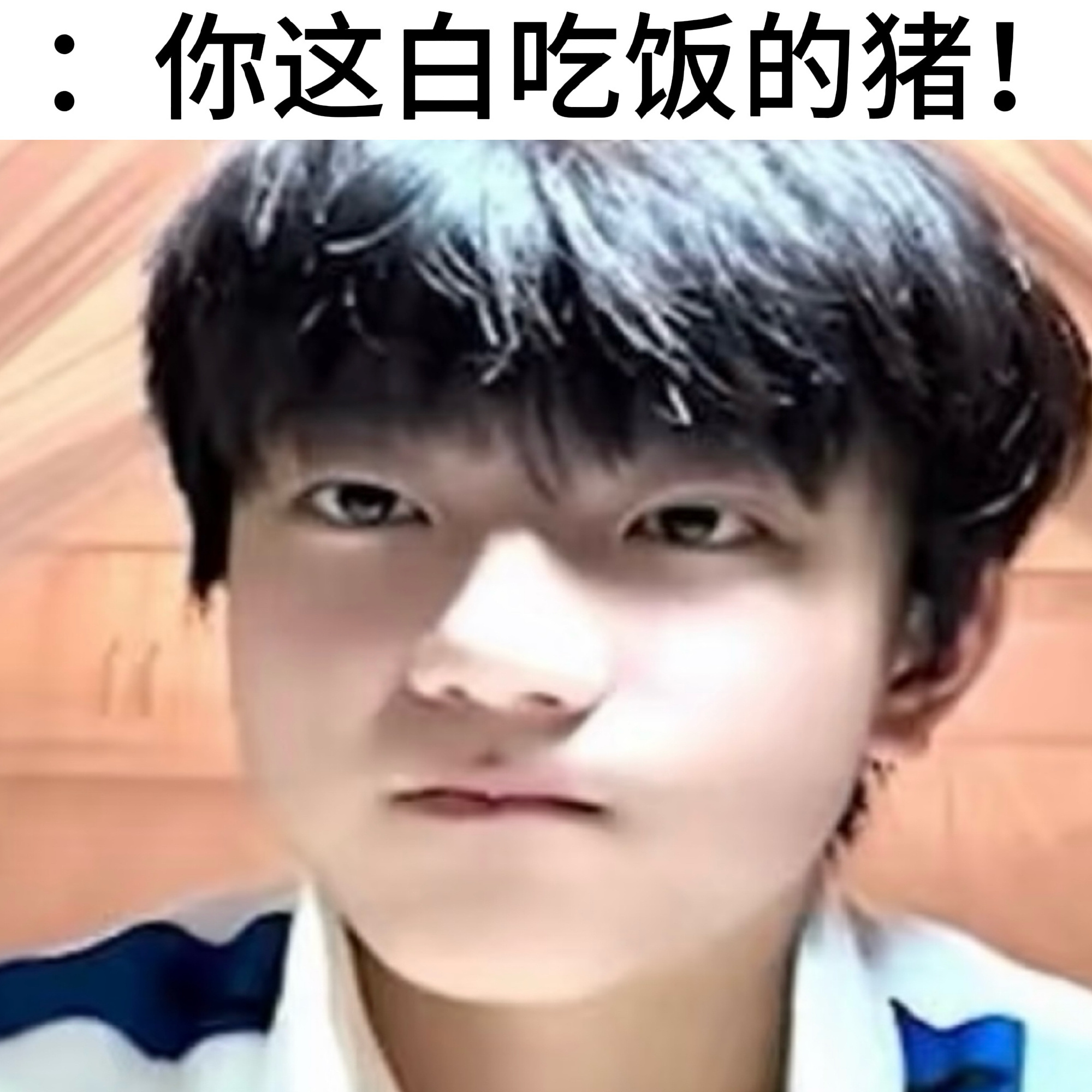 恩恩在我心里就是无性别小动物就是一只爱吃的猪猪吖你给他吃好吃的就会跑过来拿鼻子拱