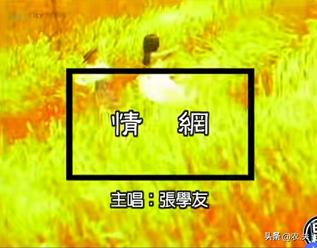 张学友《情网》
