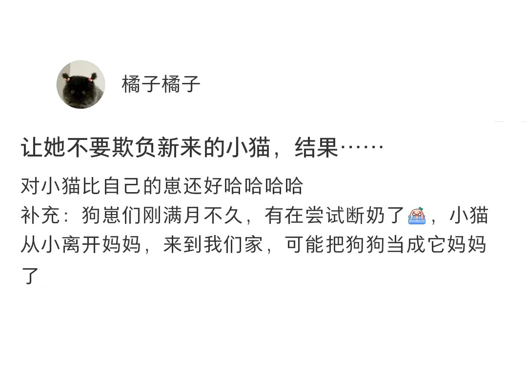 狗妈妈喂小猫时眼里都闪着光[抱一抱] ​​​