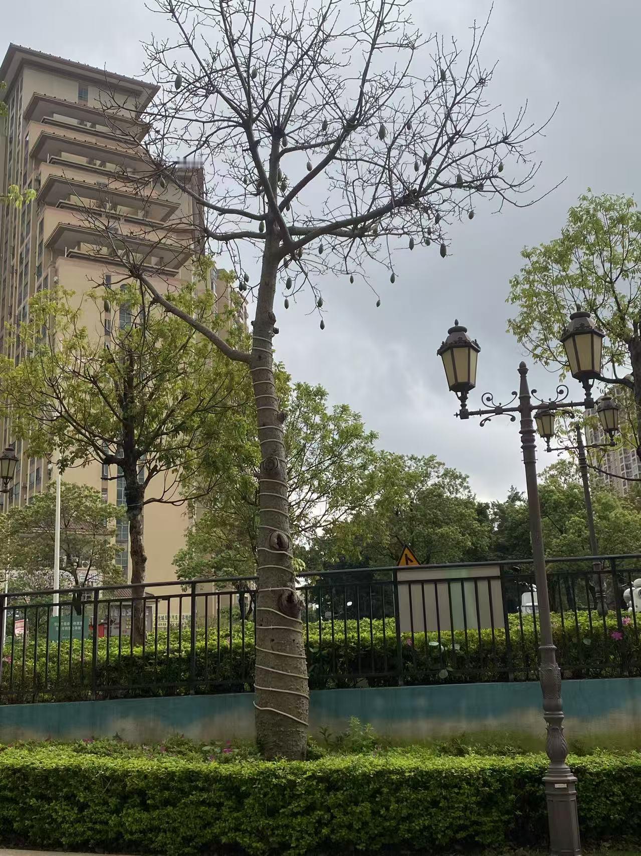 现在一打开头条，
眼皮就打上架，
超级的想睡。

以前一打开头条，
人就跟打了鸡