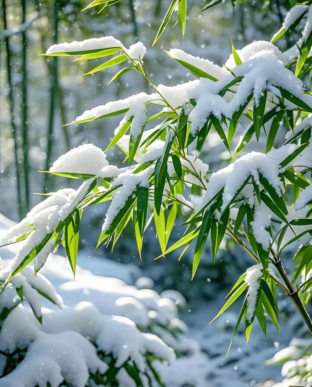 今天的天气灰蒙蒙的，有点闷闷不乐，像揉搓后铺开的报纸，满皱褶里都是不愉快。

白