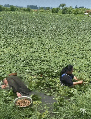 人这辈子走到后半程才彻底醒悟，身边再好的人脉再多的朋友，都抵不过一个真心相伴的老