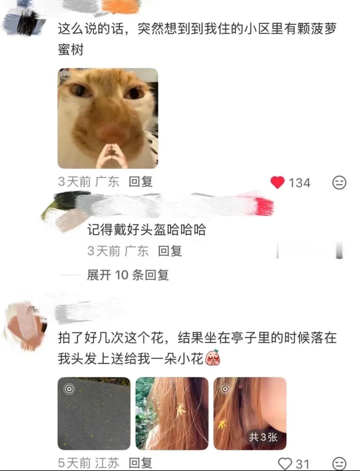 假的，我也是听人这么说。于是我们小区枇杷树挂果的时候，我就跟树说：我也想要一颗枇