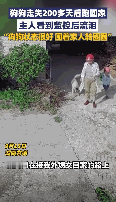“这就是命啊！”9月15日，湖南常德，一女子接外孙女放学时，竟然在路上遇到了走丢