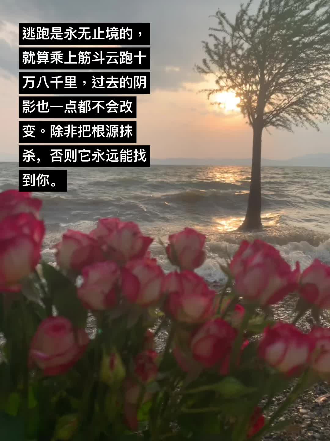 校园加都市悬疑，校园暧昧时期真的甜的要命，男主不是纯情小狗是什么，年轻...
