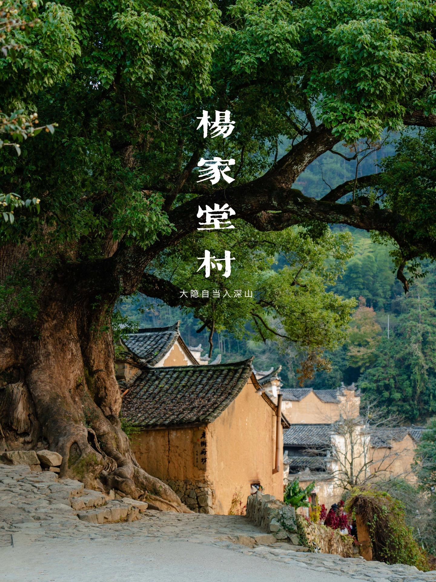 丽水松阳的江南秘境：杨家堂村。这个位于丽水市松阳县三都乡的古村落，以其...