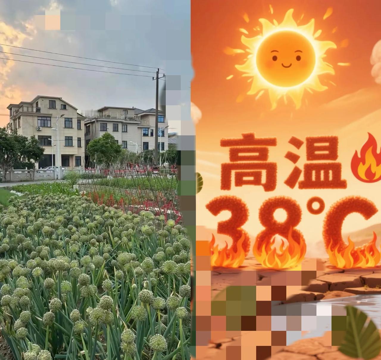 刷到那个视频时，我盯着屏幕愣了半分钟——39度的天。
      老两口守着空调