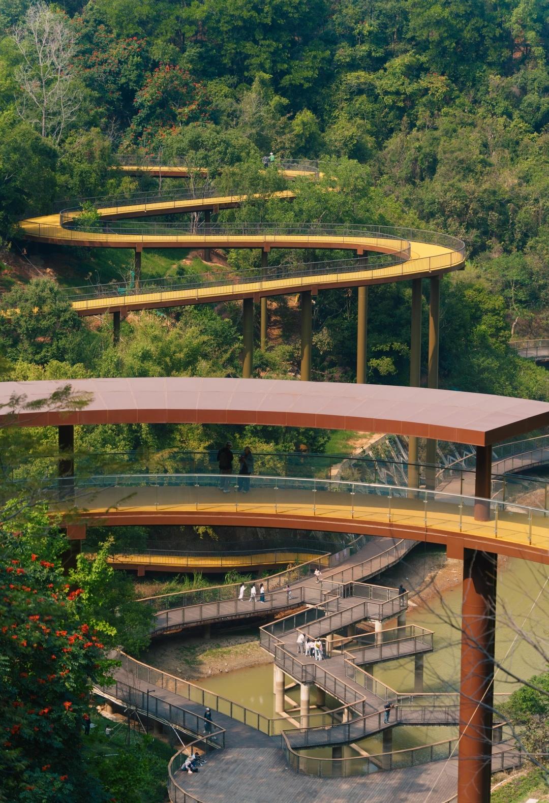 深圳这个新公园🍃藏不住了
前段时间趁天气好
去了趟刚挖到的宝
—— 深圳南湾郊