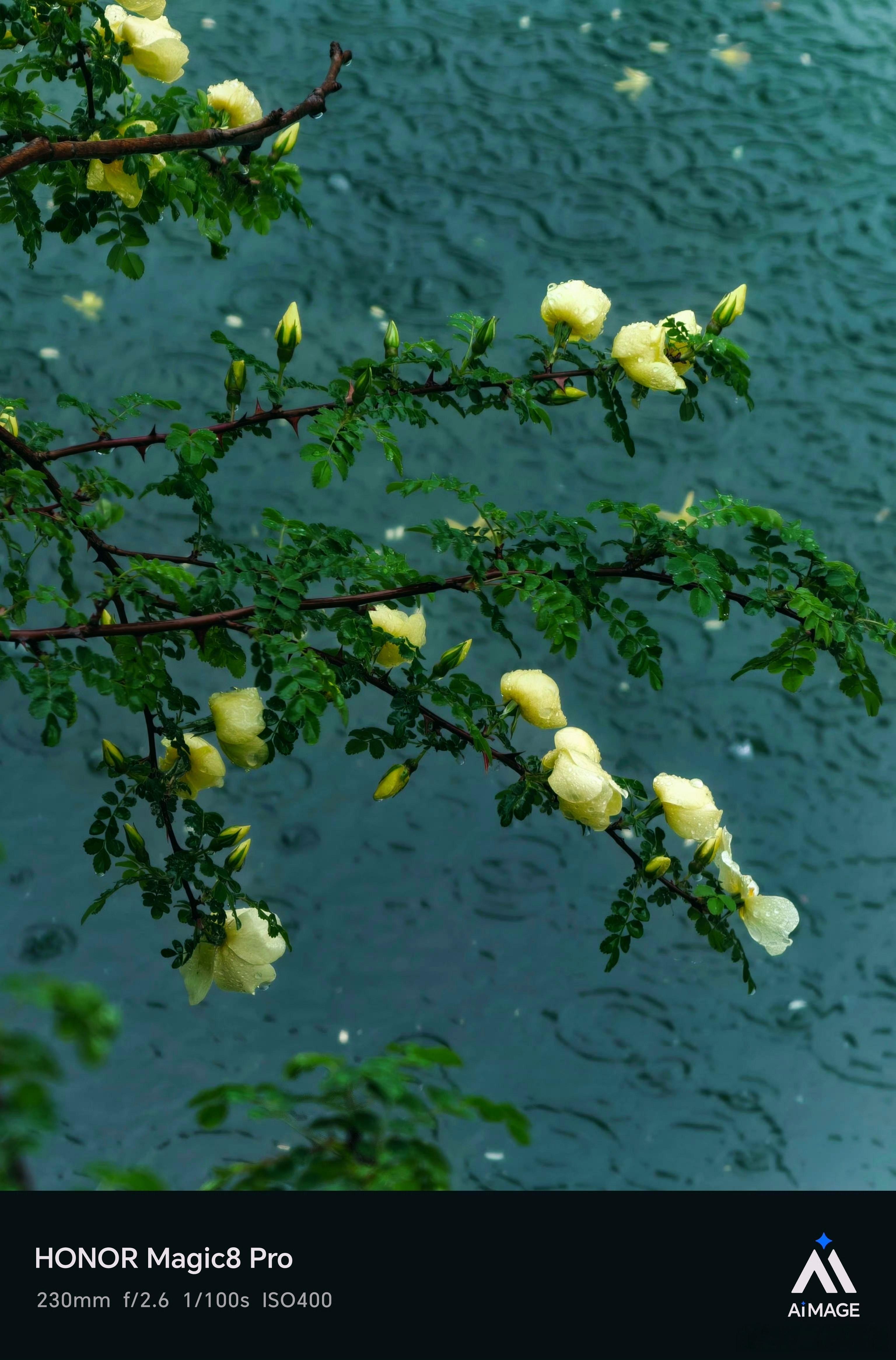 生活节奏不同的人很难互相理解雨落青芜,林间藏夏,一城烟雨,满目清绿,万物都在温柔