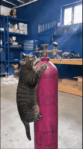 想体验一把飞的感觉！