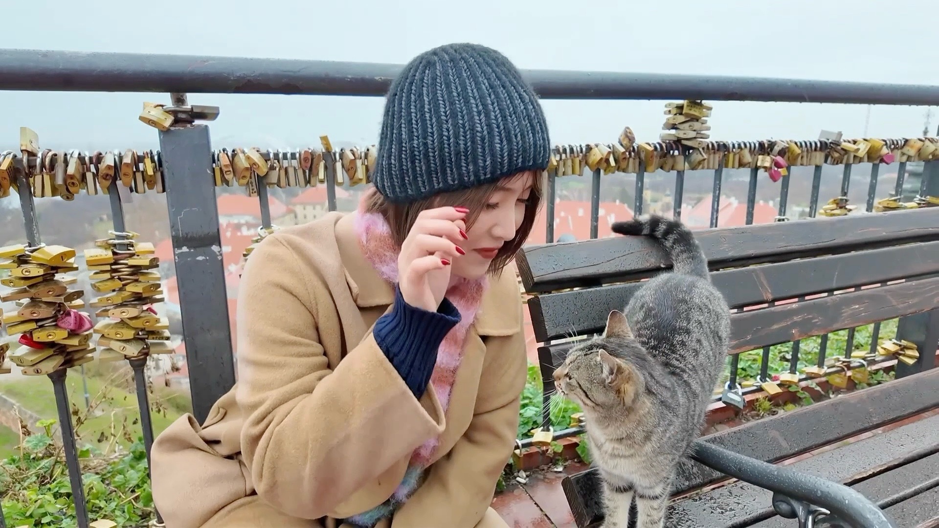 分享图片 塞尔维亚·诺维萨德