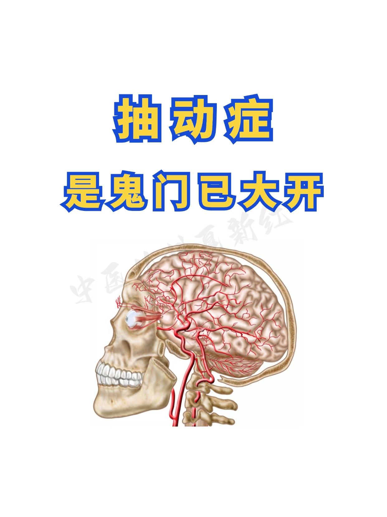 抽动症不过是“两把火”和“两种虚”！
 
不忍心再看孩子饱受折磨，也看不下去某些