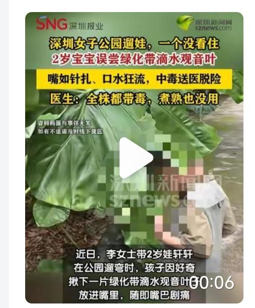 母亲带着两岁的儿子在公园散步，孩子看到一株绿植，于是好奇的去舔食叶子，没想到就这