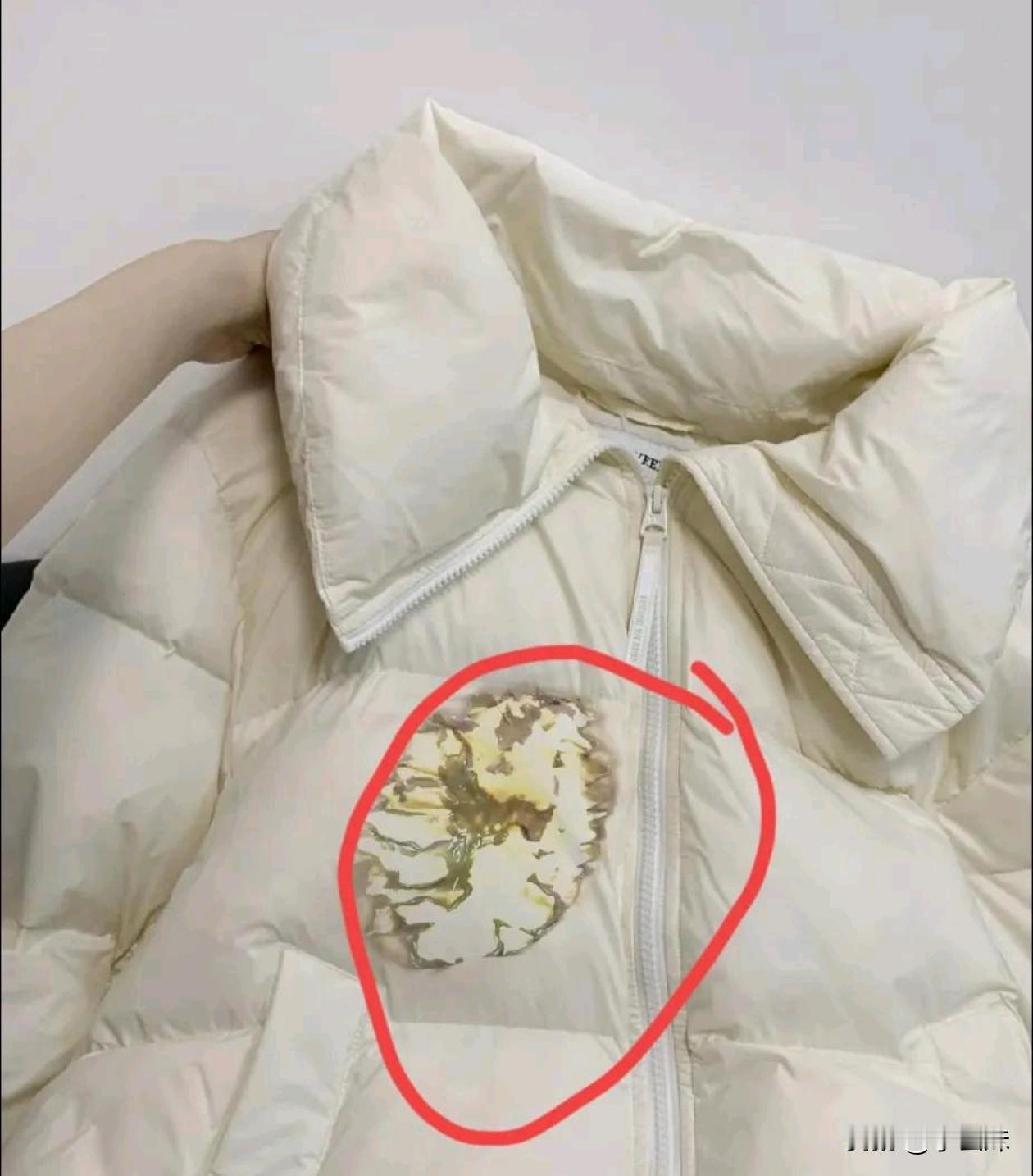 一千六的泡芙羽绒服穿第一天沾了油渍，用漂白剂处理后直接废了，现在衣服都这么娇贵吗