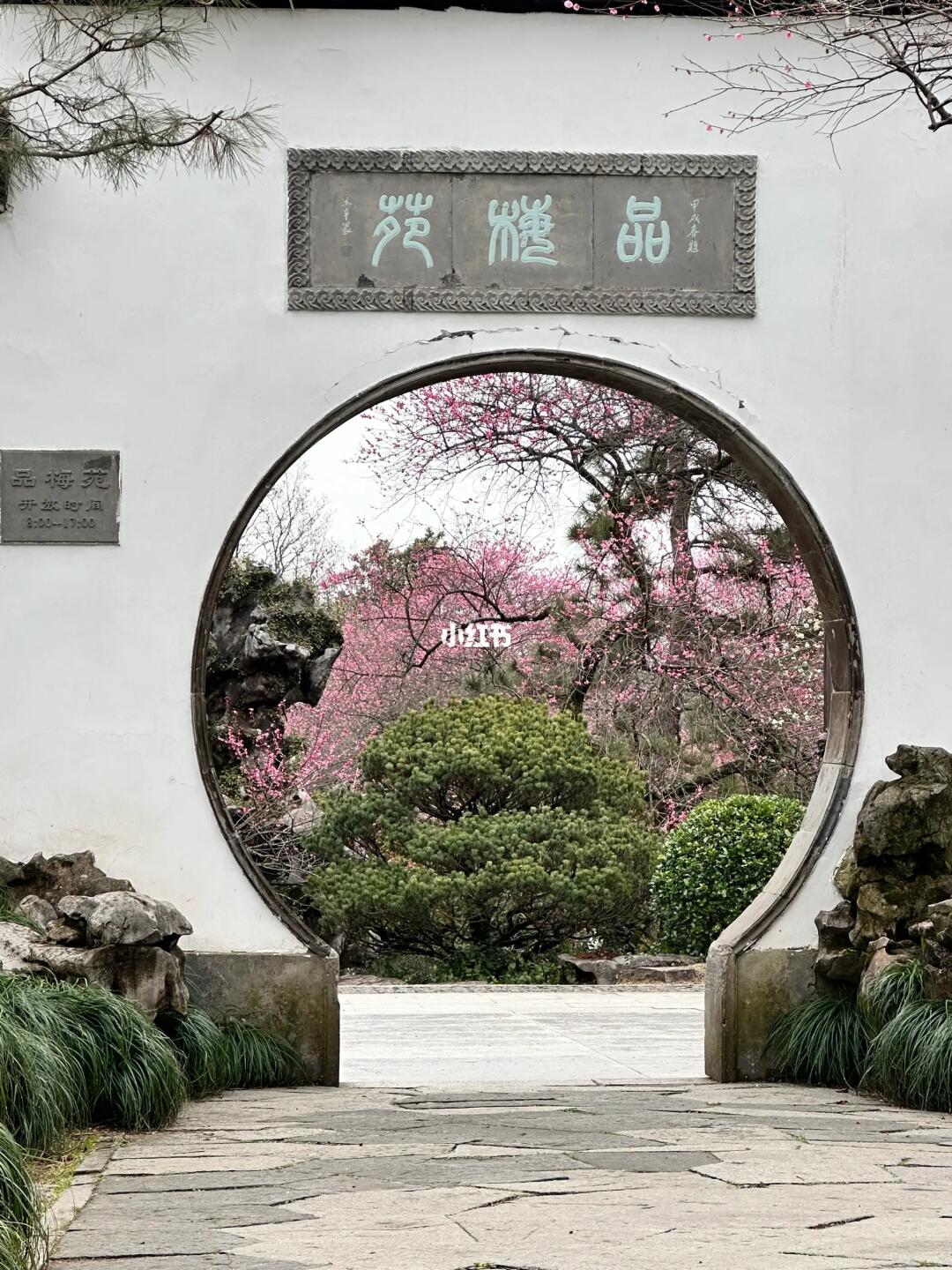 live ｜ 杭州植物园我称之为赏梅天花板级别