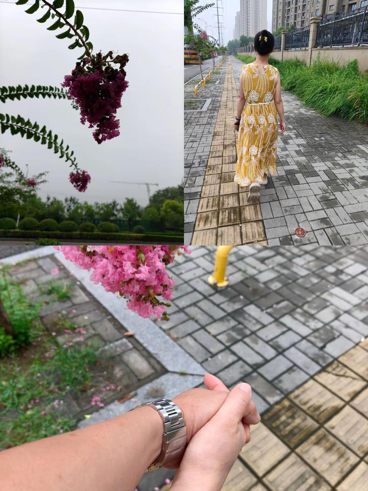 小酒后，陪一把手溜弯😃有规律的生活也是一种小幸福❤️             