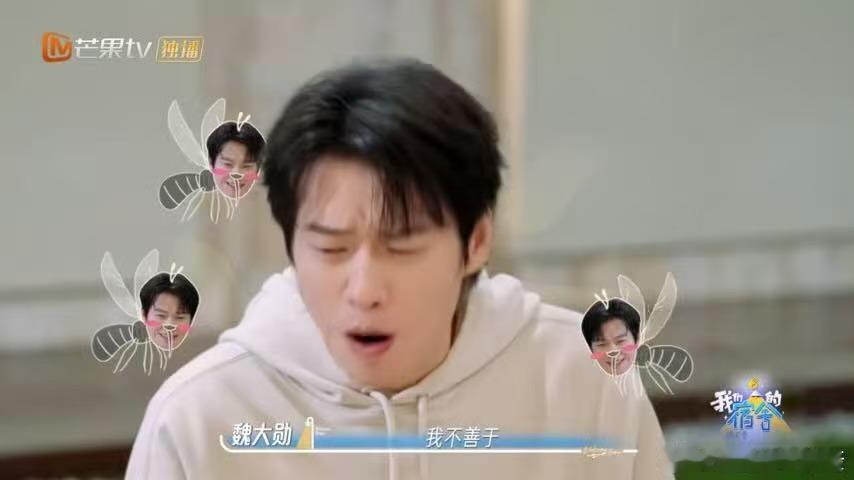 魏大勋说我不善于撒谎我们的宿舍《我们的宿舍》高能游戏环节上线，魏大勋在线极限脑洞