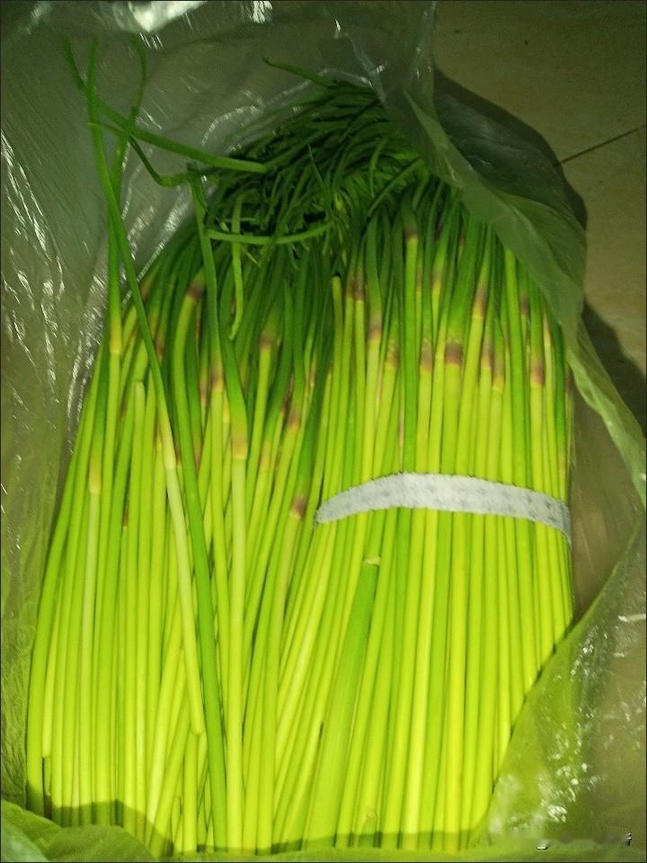 小区超市蒜薹一把5块，于是花了7块9，跟风买了5斤河南蒜薹，包邮。结果你猜怎么着
