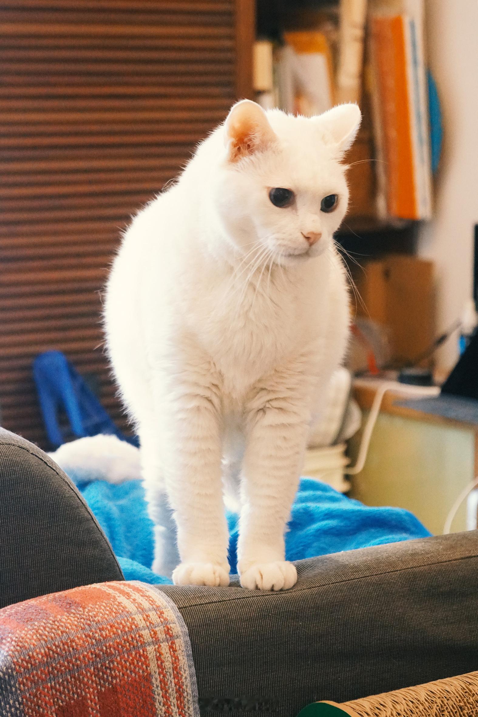 誰來幫偶蓋毯毯～ ​​​