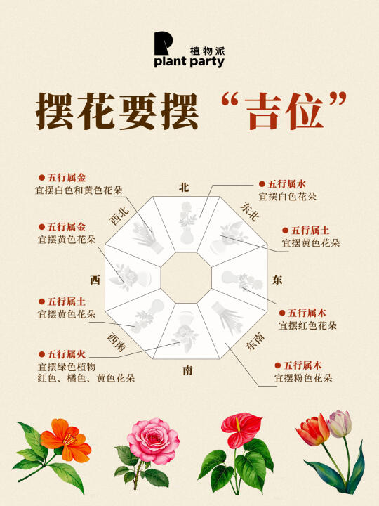 家里的花要摆“吉位”✅旺运旺宅转風水🔥
