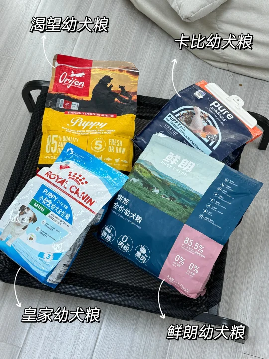 幼犬粮高端局！新手养狗怎么选狗粮？