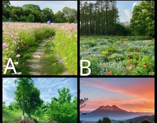 选了第一条格桑花路，就想图个吉利。另外几条看着都太累，石阶那是给卷王爬的，花田太