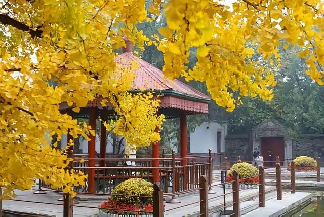 婆媳相处的黄金法则，记住这几句，全家安宁
 
1. 不远不近，是最好的距离
不黏