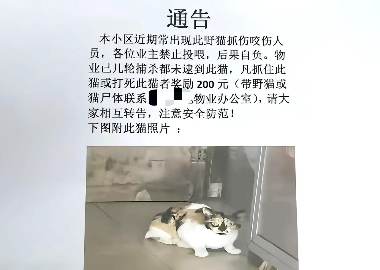 【小区悬赏捕杀流浪猫引争议，周兆成：流浪动物管控有边界，捕杀悬赏方式不可取】
 