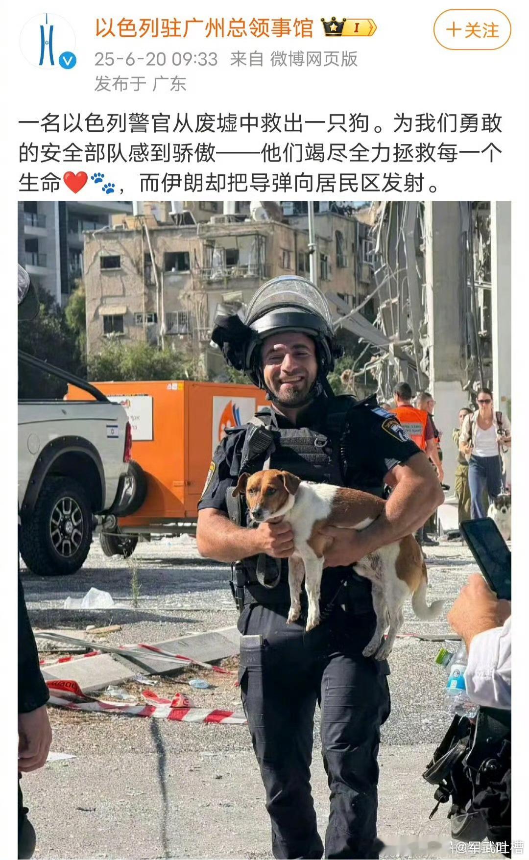事实证明，在灾难面前，以色列的动物比人命值钱，美国儿子把这一套全都学走了。伊以冲
