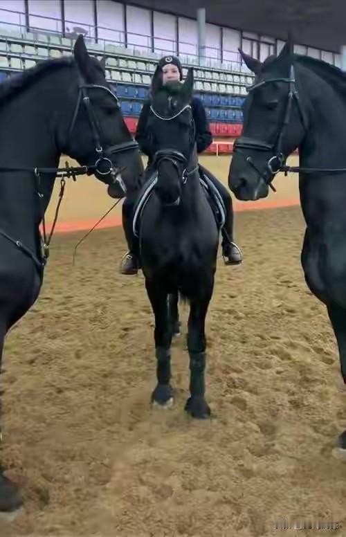 马年到了，祝福朋友们，人合心，马合套，马年小酒悠着造，既要当好马前卒，又要做好马