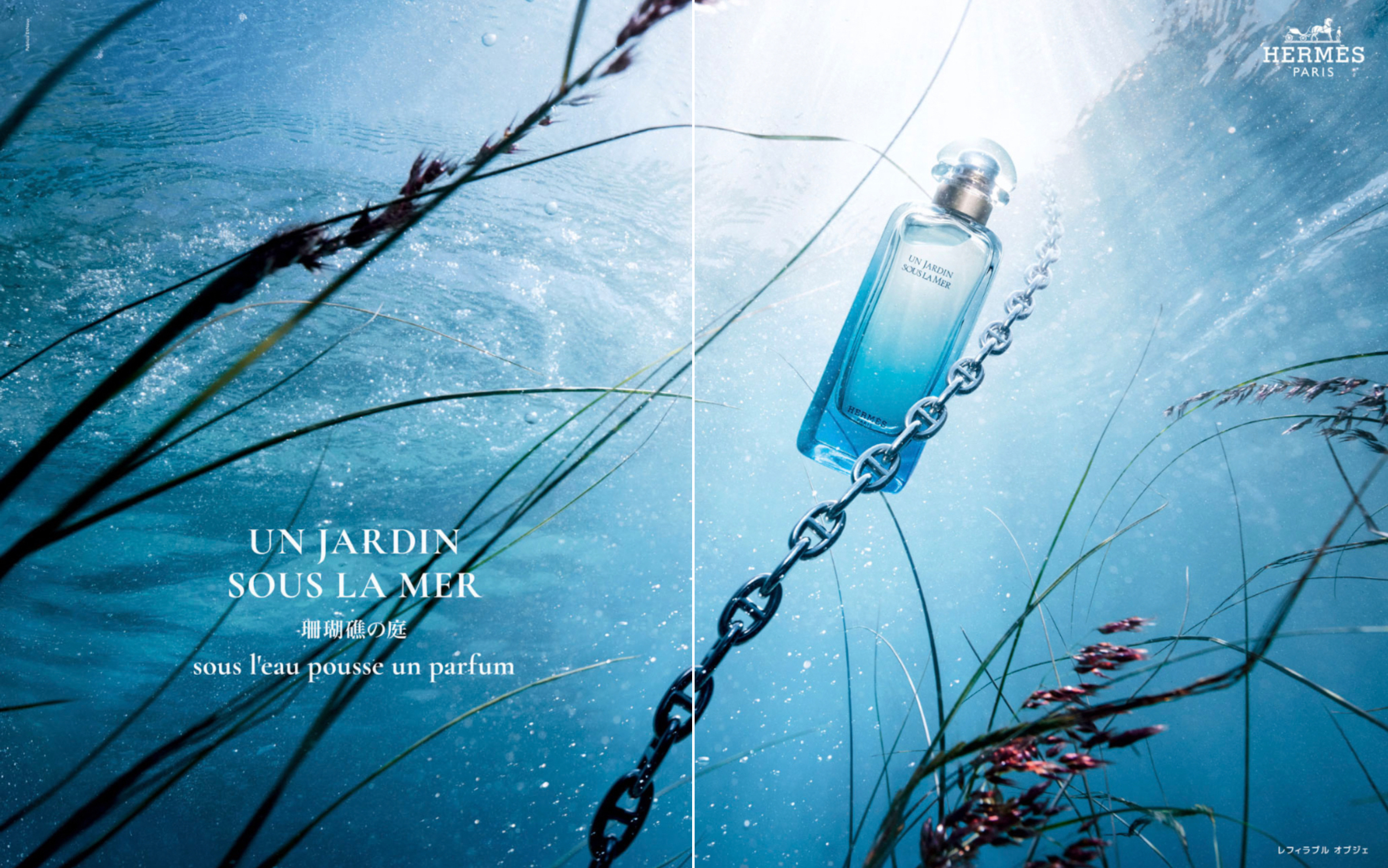 Hermes 香水广告图 🤍 🩵 