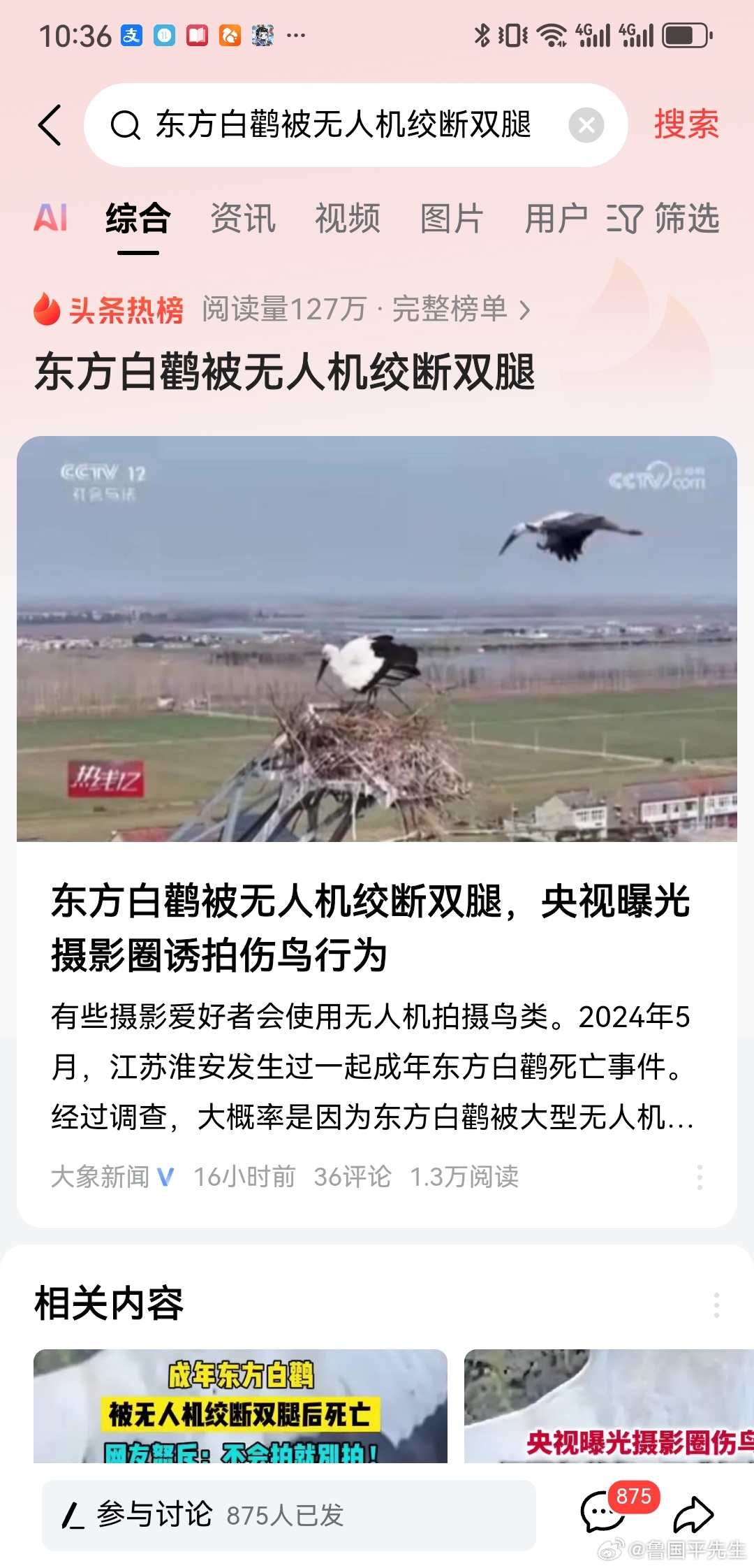 痛心。东方白鹳被无人机绞断双腿。江苏淮安。摄影爱好者用无人机跟拍东方白鹳，孰料操