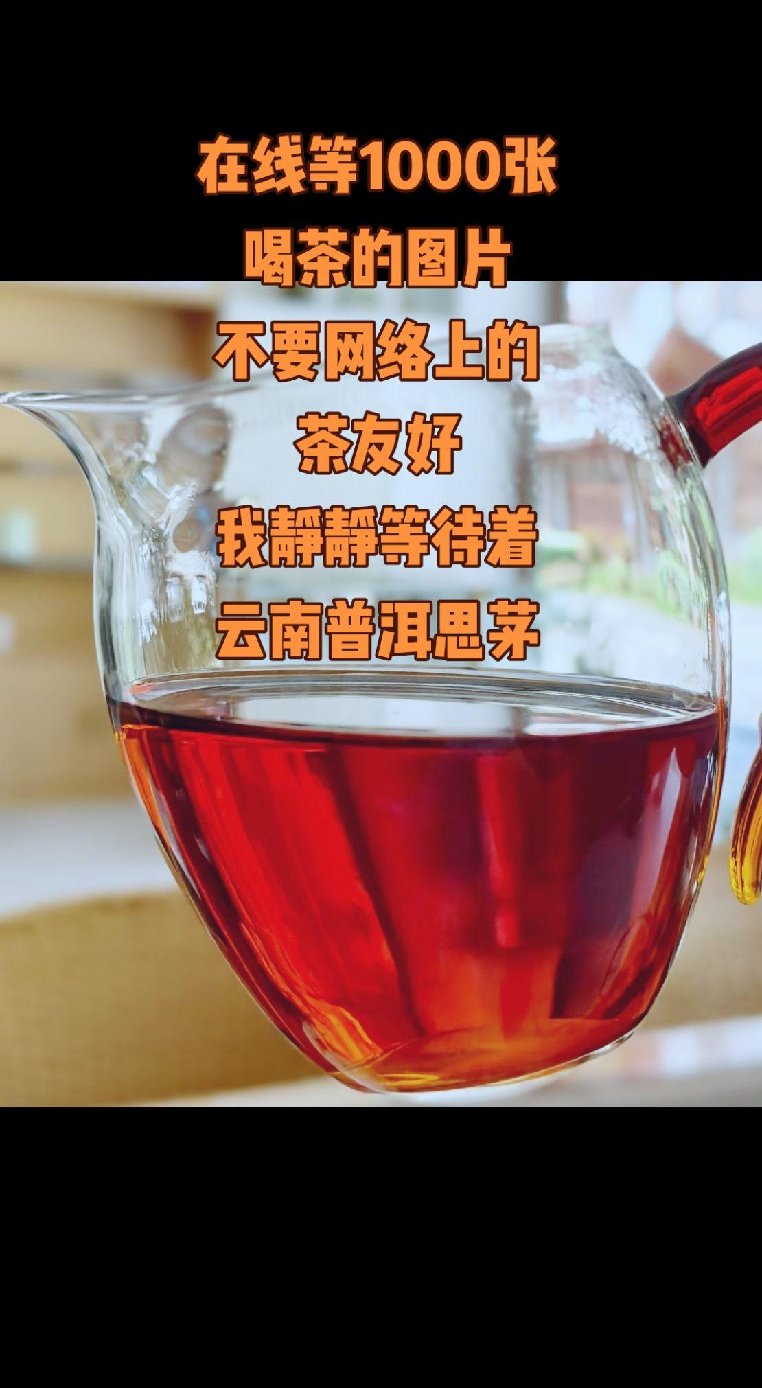 召唤茶人