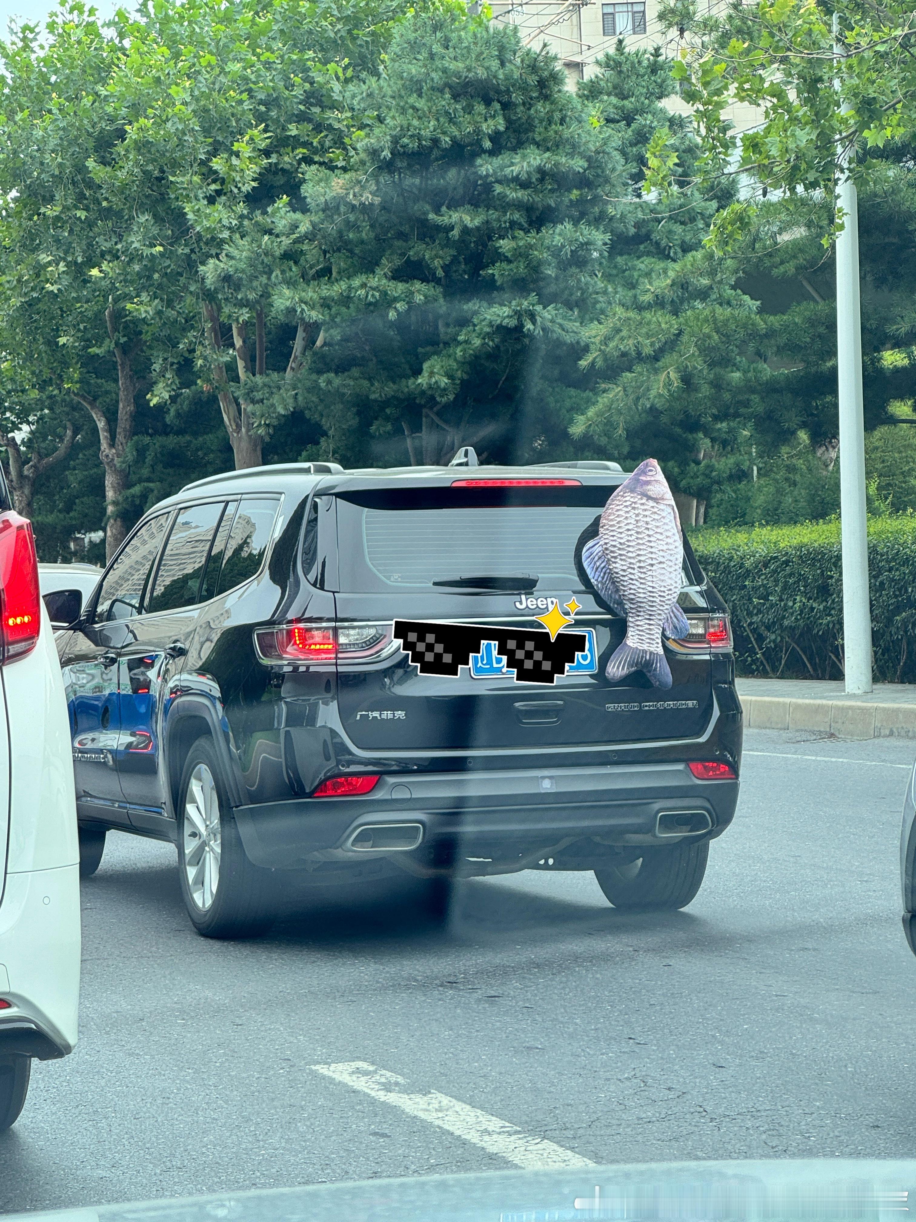 这是不是老默的车